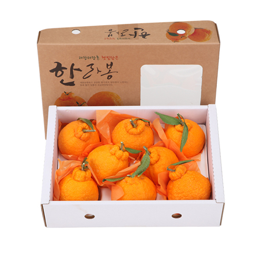 제주 한라봉 중(7~12과) 3KG