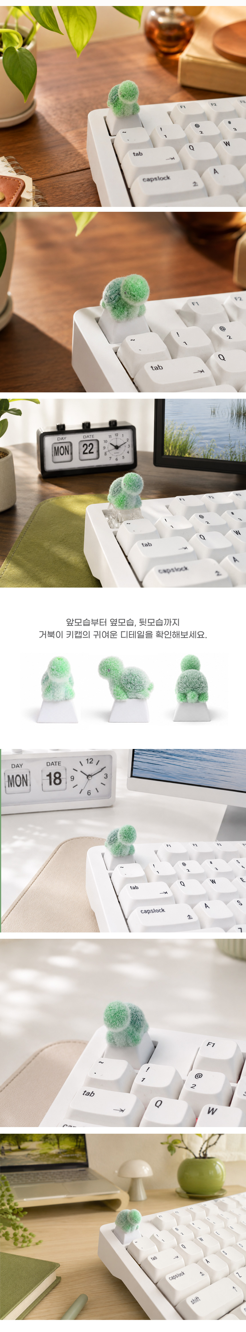 키캡(투명)-거북이 3D 귀여운 기계식 키보드 상세 이미지 4