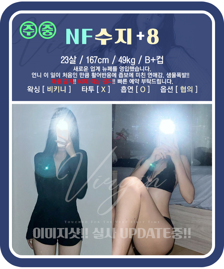 수지.png